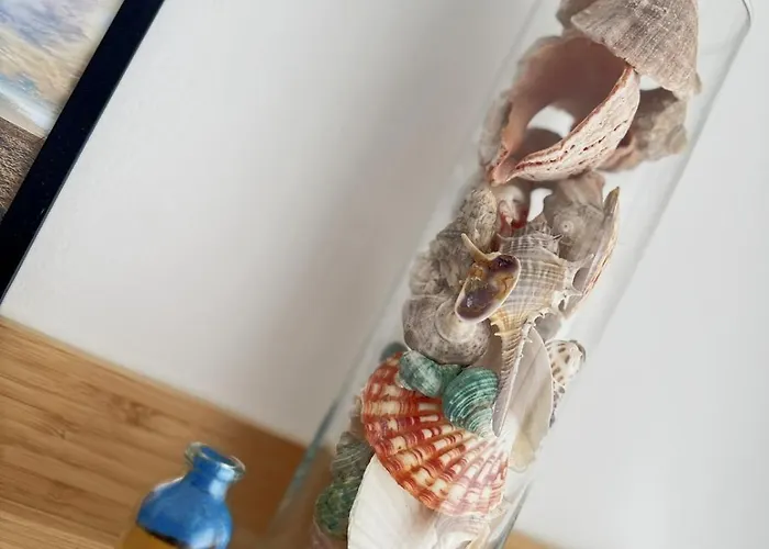 Urban Oasis 瓦爾納