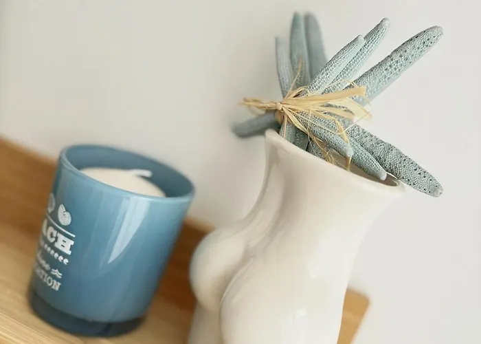 Urban Oasis * 瓦爾納